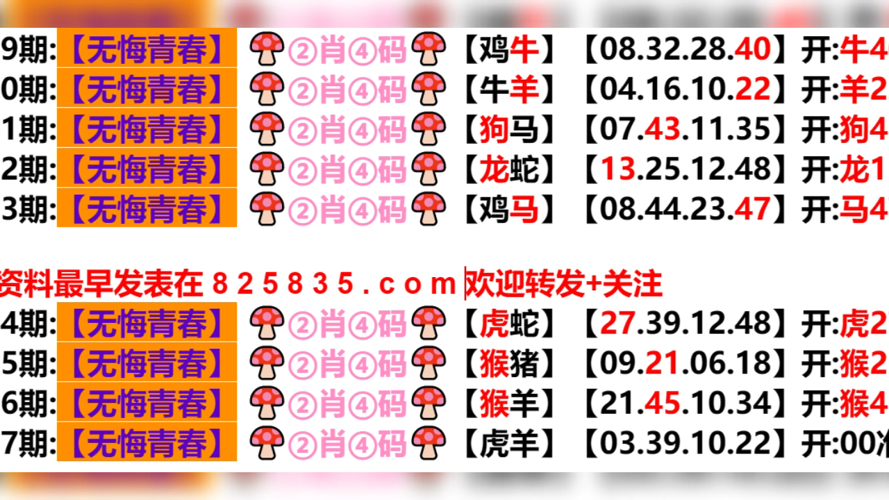 2024新奥历史开奖结果查询澳门六,适用性计划解读_特别款50.329