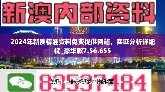 新澳2024年精准特马资料,经典案例解释定义_精装款52.939